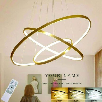 Ring Shaped Aluminum Chandelier Aslam Lighting 04